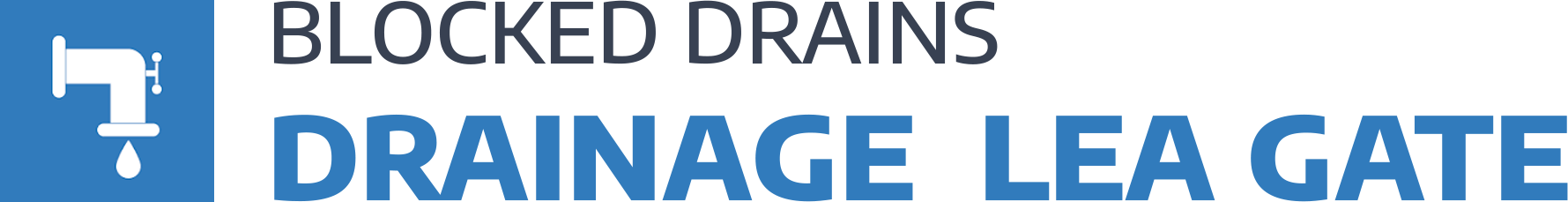 website logo
